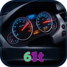 61t