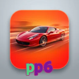 pp6