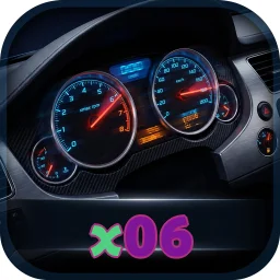 x06